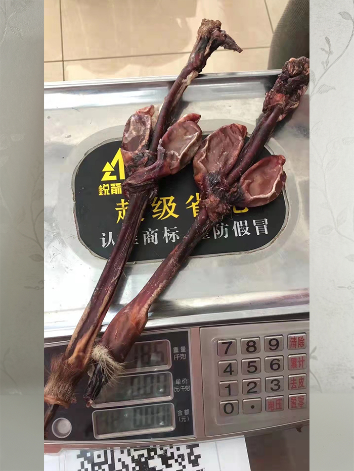 梅花鹿鞭