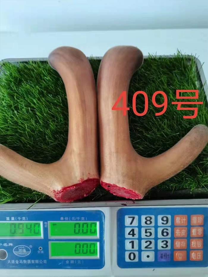 梅花鹿鮮鹿茸