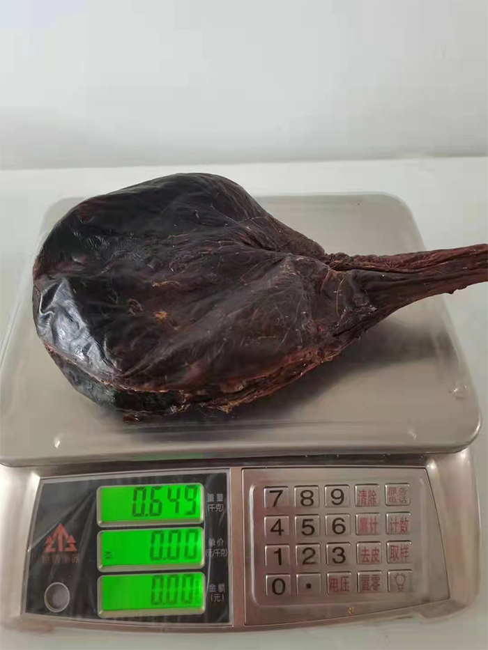 梅花鹿血胎