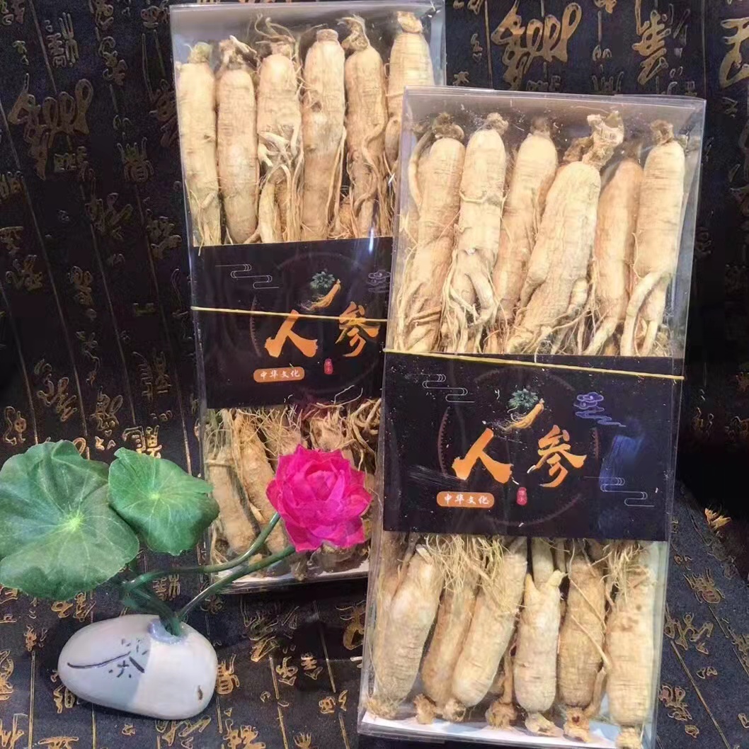 白人參