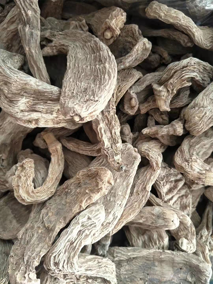 野生天麻