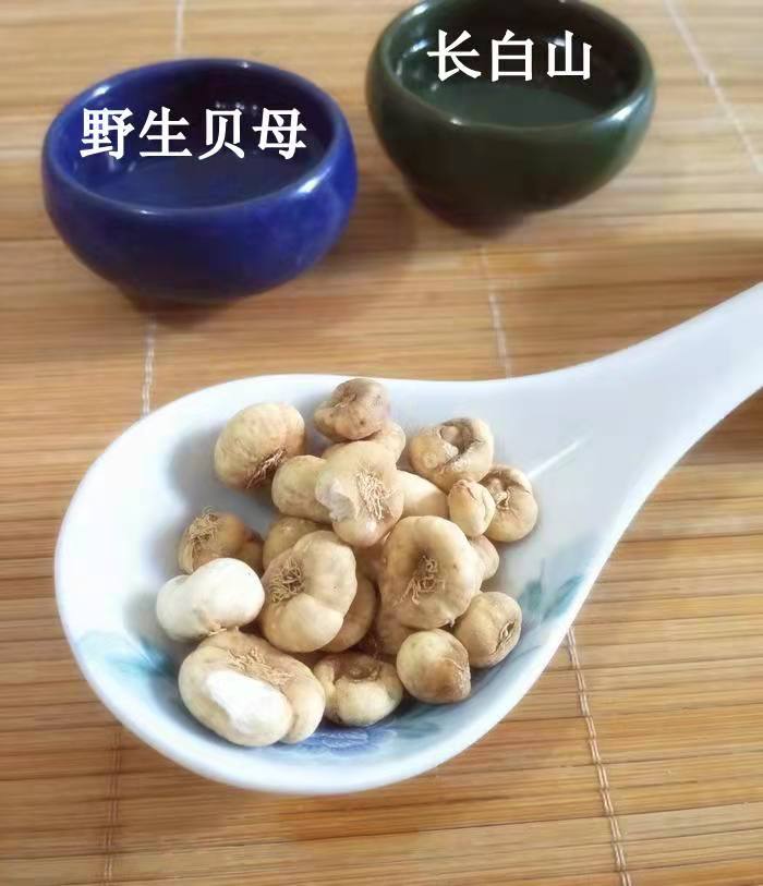長(zhǎng)白山野生貝母