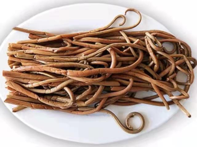 野生牛毛廣